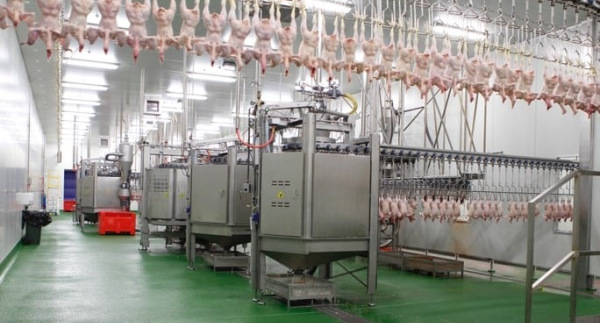 USDA Eyes Extended Waivers for Poultry and Swine Processing Line Speeds