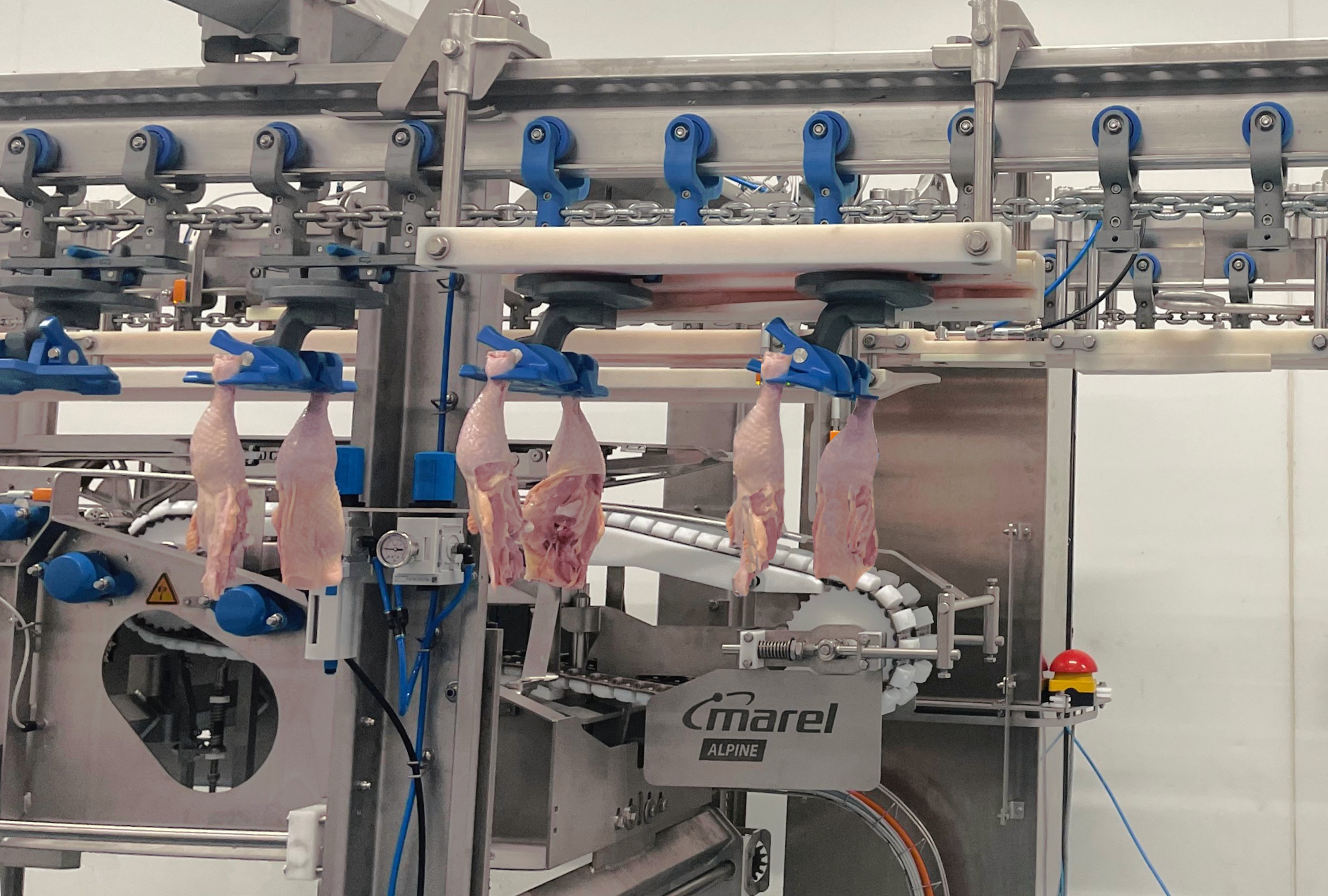 ALPINE reaches the best of anatomic leg processing