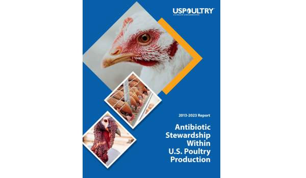 USPOULTRY Releases Updated Report of Antibiotic Stewardship Inside US Poultry Manufacturing