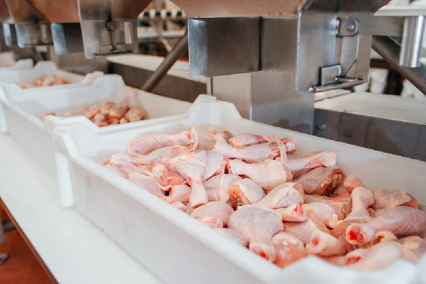 Making sure Safety in Poultry Processing: Developments in Worldwide Supplies Detection