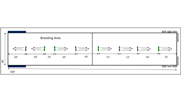 Evaluation of the implications of sustaining a common humidity (50–60%) and elevated air movement on litter moisture and footpad nicely being in a enterprise broiler house