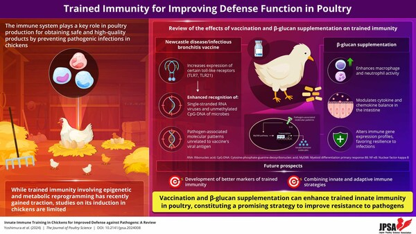 New Evaluation in The Journal of Poultry Science: Expert Immunity Affords Novel Poultry Sickness Prevention Strategies