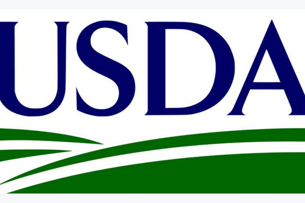 USDA Duties Common Progress in Poultry Manufacturing for 2025, with Blended Price Forecasts